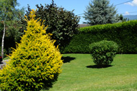 Entretien jardin haute-savoie